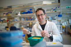Stephan Wenkel, professor vid Institutionen för fysiologisk botanik