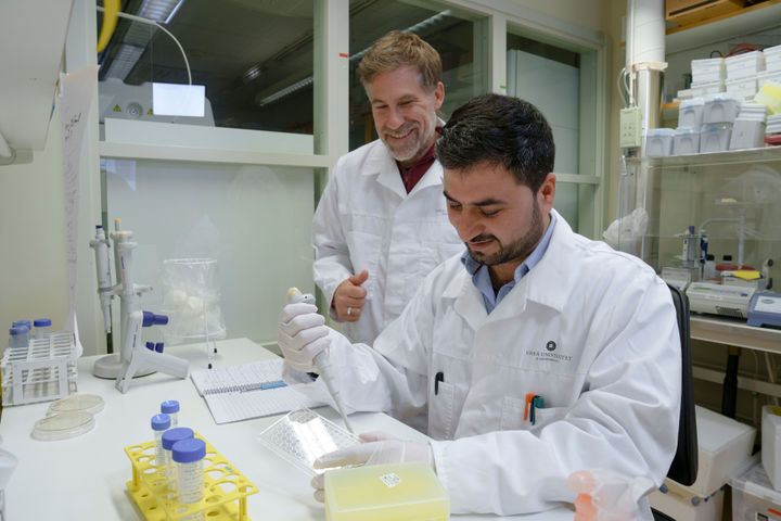 Constantin Urban och och Nadeem Ullah in lab