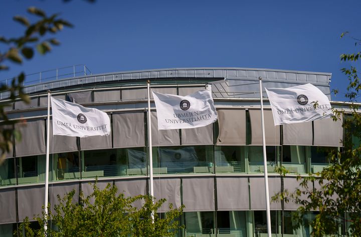 Researchers at Umeå University have discovered that the microscopic “bubbles” released by bacteria in our body do not just drift around randomly.