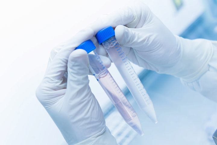 New research investigates how proteins influence cell death.