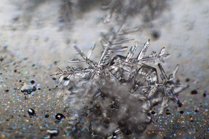When water freezes, salts become concentrated in small pockets between ice crystals, where they can accelerate the breakdown of iron minerals.