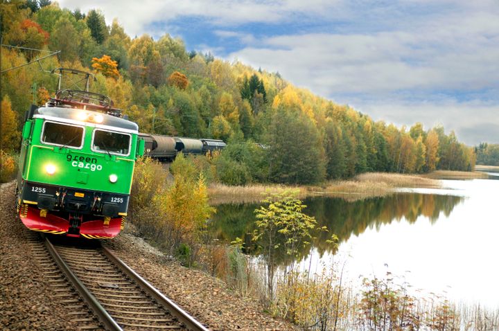 Godståg i höstlandskap.