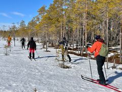 STF Umeregionen lokalavdelning, Västerbotten