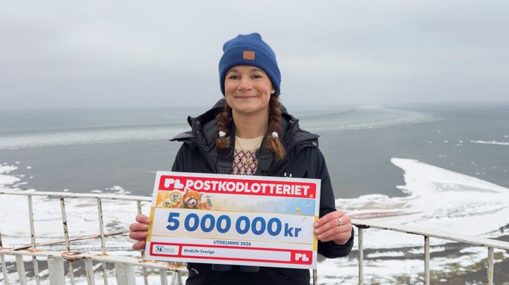 Mikaela Lindholm, kommunikatör på BirdLife Sverige, med årets tilldelade stöd på 5 miljoner kronor.