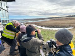 Fokus i blicken – under kikarskolan lär sig barnen att upptäcka fåglar med kikare.