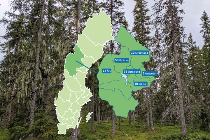 BirdLife Sveriges 145 överklagande avverkningsanmälningar med höga naturvärden i Jämtlands län under första halvåret 2026.