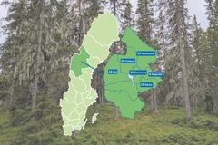 BirdLife Sveriges 145 överklagande avverkningsanmälningar med höga naturvärden i Jämtlands län under första halvåret 2026.
