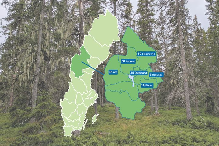 BirdLife Sveriges 145 överklagande avverkningsanmälningar med höga naturvärden i Jämtlands län under första halvåret 2026.