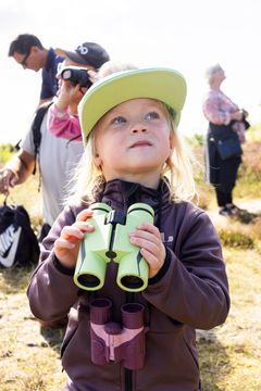 Barn och unga får chansen att upptäcka fågelskådning och lära sig använda kikare under Falsterbo Bird Show.