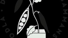 Bönor med budskap - fröbibliotek