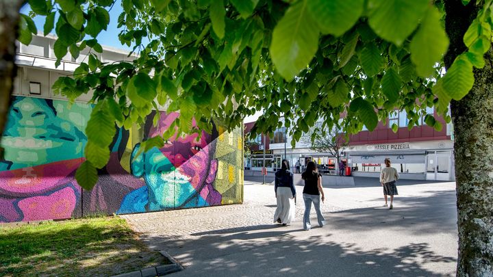 Torget på Hässleholmen.