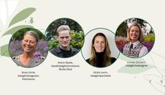 Bild med fyra trädgårdsexperter: två kvinnor och två män, alla ler.