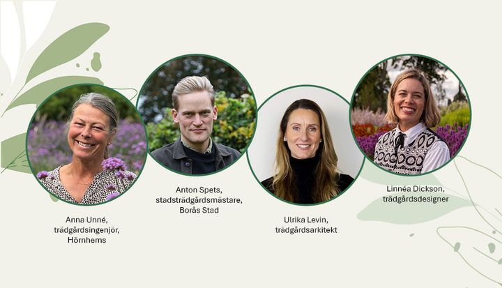 Fyra trädgårdsexperter poserar framför en grön bakgrund med blommor.