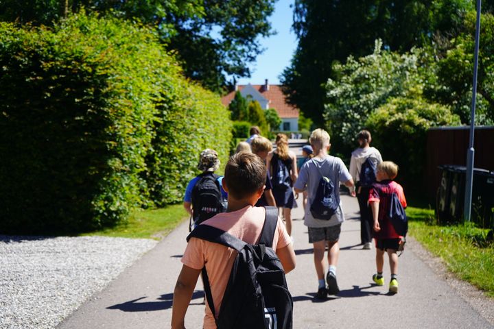 Barn som går i grupp i ett villakvarter en solig dag.