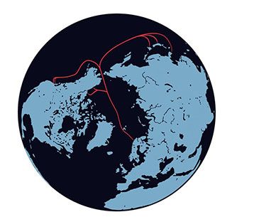 Undervattenskabeln mellan Europa, Nordamerika och Asien, via centrala Arktis, ska stärka Europas digitala säkerhet.