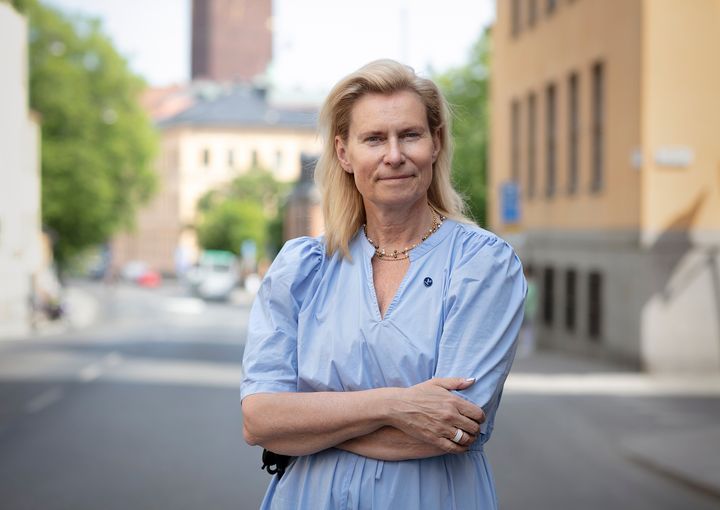 Katarina Bjelke, Vetenskapsrådets generaldirektör.