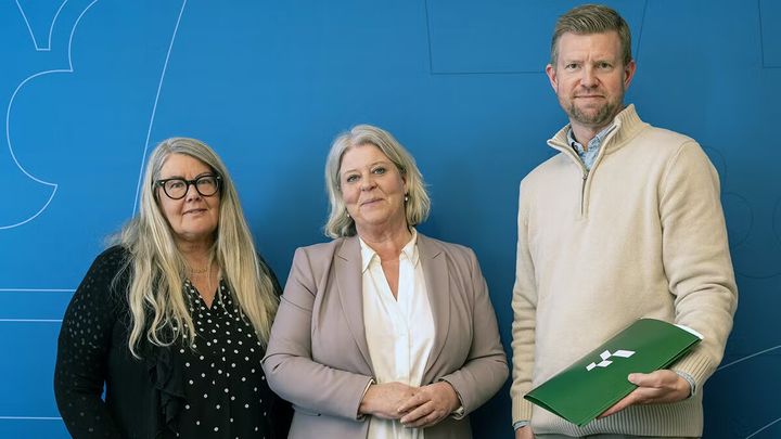 Annika Wallenskog, Camilla Waltersson Grönvall, Henrik Petrén