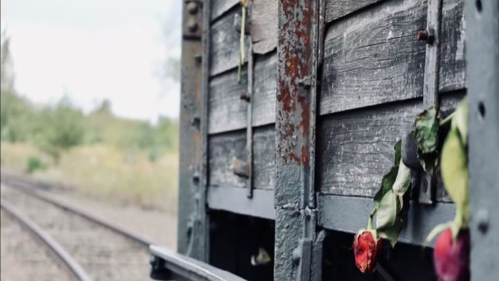 Den 27 januari är det Förintelsens minnesdag. Över hela världen samlas människor för att minnas och hedra offren.