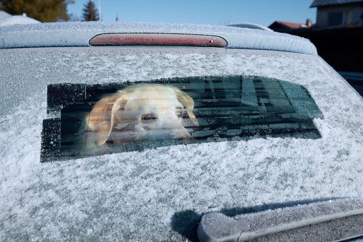 I en parkerad bil kan temperaturen sjunka snabbt när det är minusgrader ute. Enligt Jordbruksverkets regler är det förbjudet att lämna en hund i bilen om det är möjligt att temperaturen i bilen går under -5°C.