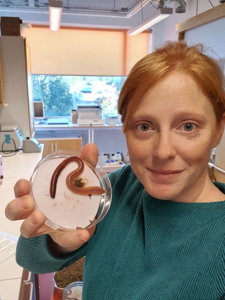 Wiebke Mareile Heinze ska undersöka hur daggmaskarnas återetablering i åkermark kan främjas.