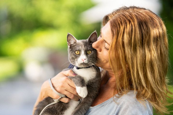 Alla kattvänner är välkomna att ta del av forskarseminariet om katter.