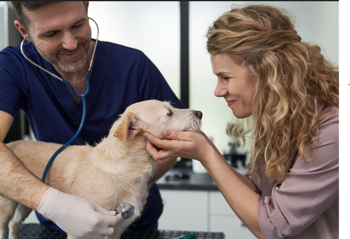 Den 25 april firas the World Veterinary Day med syftet att uppmärksamma veterinärernas viktiga arbete.