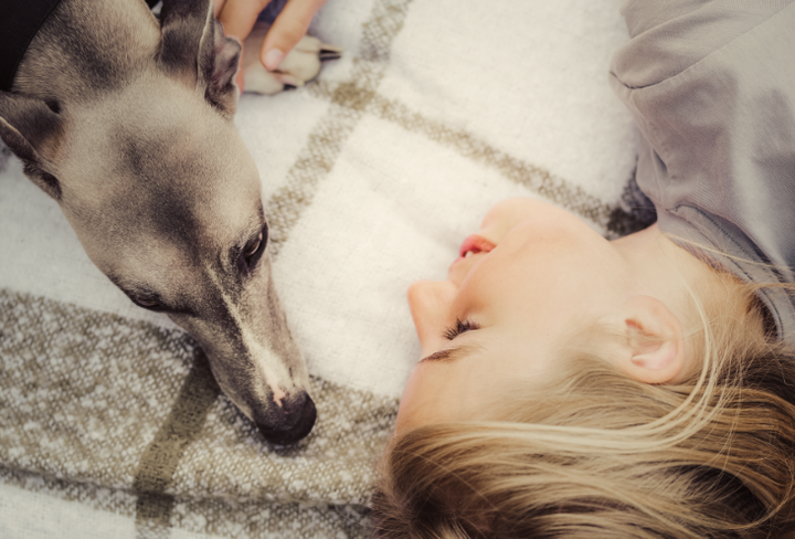 Whippet är en av de hundraser som lever längre än genomsnittet.