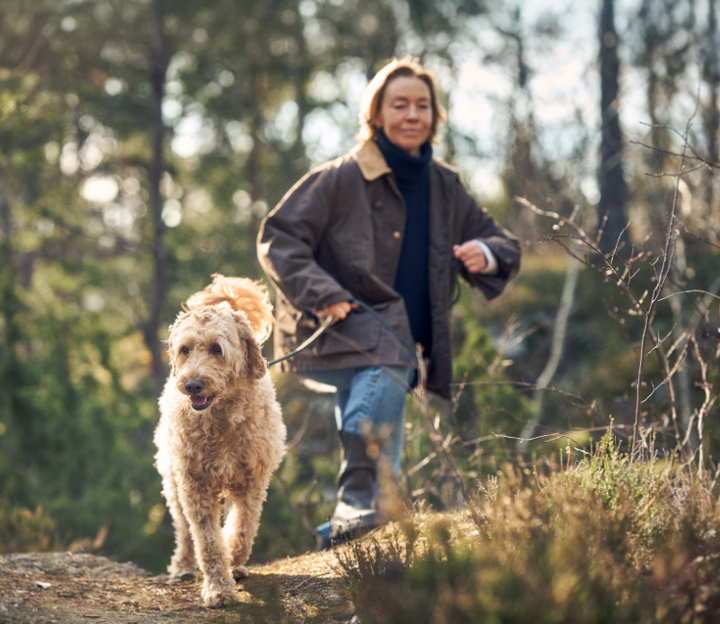 Promenader i skog och mark är bra för både hund och hundägare.