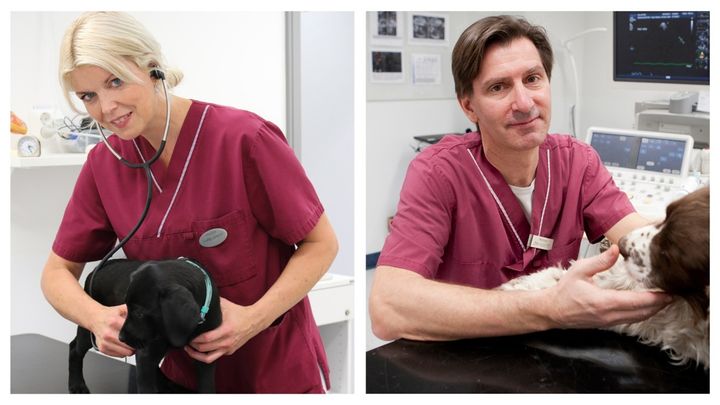 Forskarna Ingrid Ljungvall och Jens Häggström har tillsammans bidragit till bättre diagnostik och behandling, ökad kunskap om ärftliga hjärtsjukdomar och längre liv för många sällskapsdjur långt utanför Sveriges gränser.