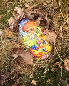 Ett påskägg gömt i gräset.