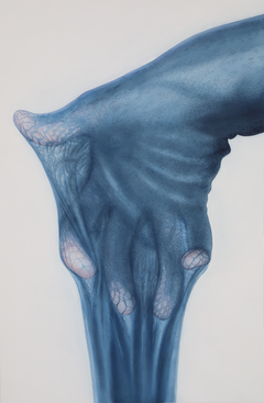 Martha Ossowska Persson, Shed the Skin (2026).