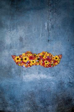 Handla genom att handla. När du köper hösttulpaner och hyacinter på Blomsterlandet går en slant till Mustaschkampen och kampen mot prostatacancer.