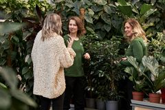 Kund får tips i butik