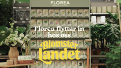 Snart finns Floreas fröer att köpa i samtliga Blomsterlandets butiker och online.