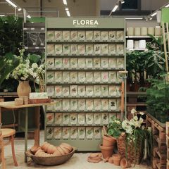 Florea flyttar in hos Blomsterlandet. Blomsterlandet är första butik som får sälja Floreas fröer.