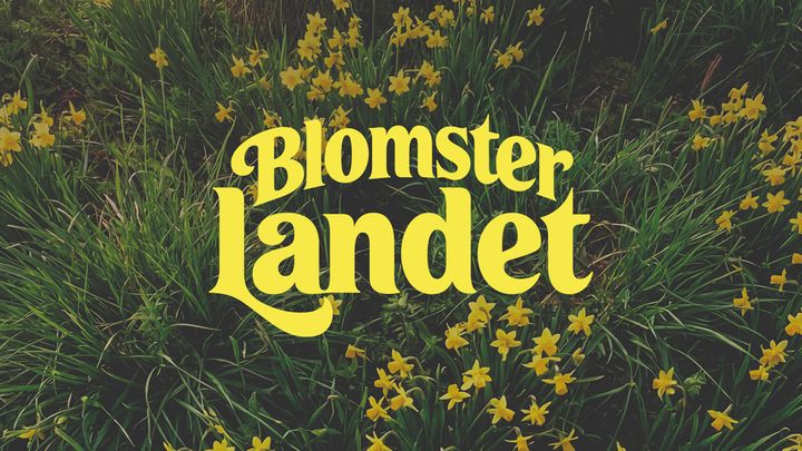 Blomsterlandets gula logotyp över en grön gräsmatta