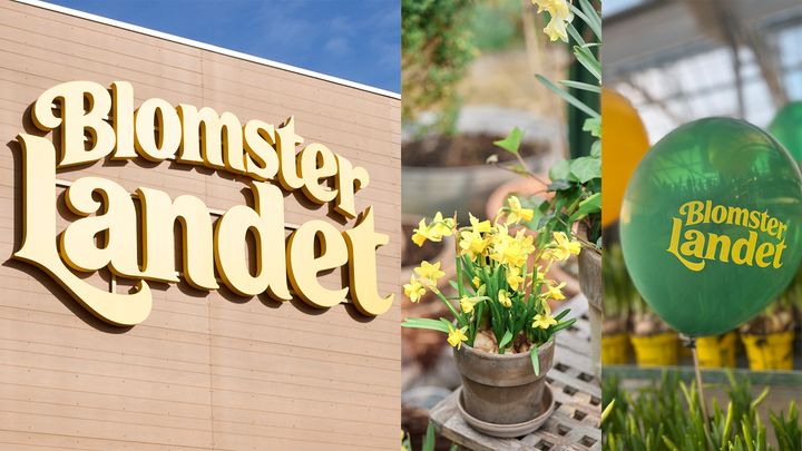 Dekorationsbild - montage: Stor butiksskylt med texten "Blomsterlandet", gula påskliljor i kruka och en grön ballong med texten "Blomsterlandet"