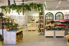 Bild av en butik med växter som hänger från taket och fönster som skapar känslan av en hemlig trädgård.