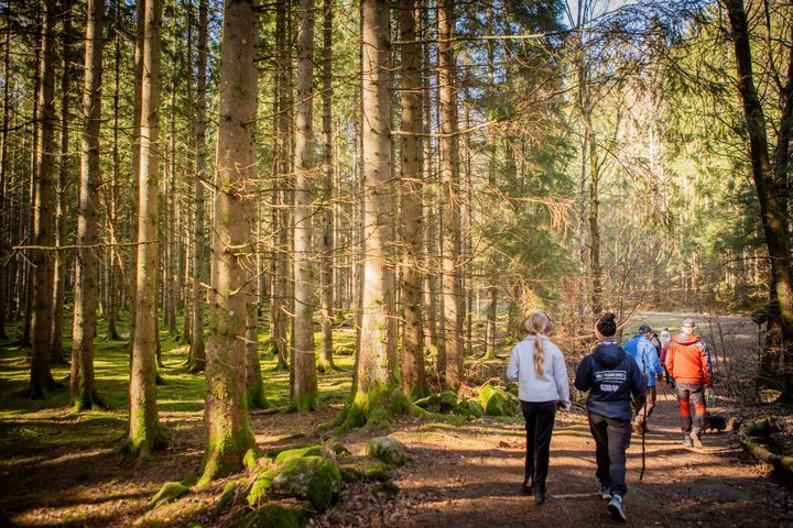 Hej främling bjuder varje vecka in till öppna hälsofrämjande aktiviteter inom friluftsliv, idrott och kultur på 74 platser i Sverige.