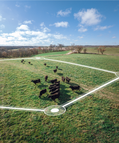 Drönarbild av betesmark med illustrerade linjer som visar hur virtuella betesgränser kan definieras med Nofence.