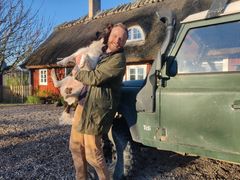 Målet är inte att ersätta tillsyn, utan att göra den mer träffsäker och effektiv, säger Jakob Gelberg, ny landschef Sverige på Nofence.