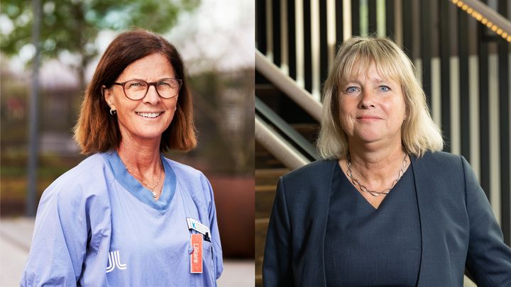 Catharina Ihre Lundgren