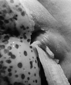 Eva Klasson, Ombilic, 1977.