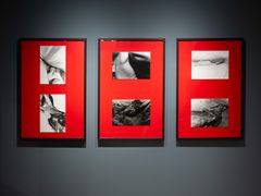 Eva Klasson, En konstnär träder fram, 2025.