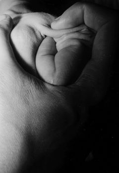 Eva Klasson, Le troisième angle, 1975-76.