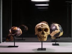 Artist: Christian Andersson
Title: From Lucy with Love
Year: 2011