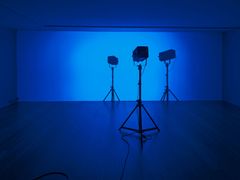 Artist: Christian Andersson
Title: F for Fake
Year: 2002