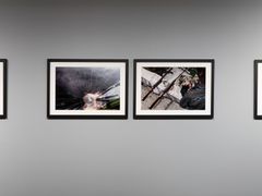 Artist: Dimitris Makrygiannakis
Title: 
Year: