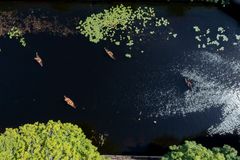 Artist: Heli Ryhänen
Title: The Wind is Turning Towards the East
Year: 2013/24