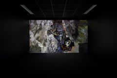 Artist: David Molander
Title: Släktträdet
Year: 2024